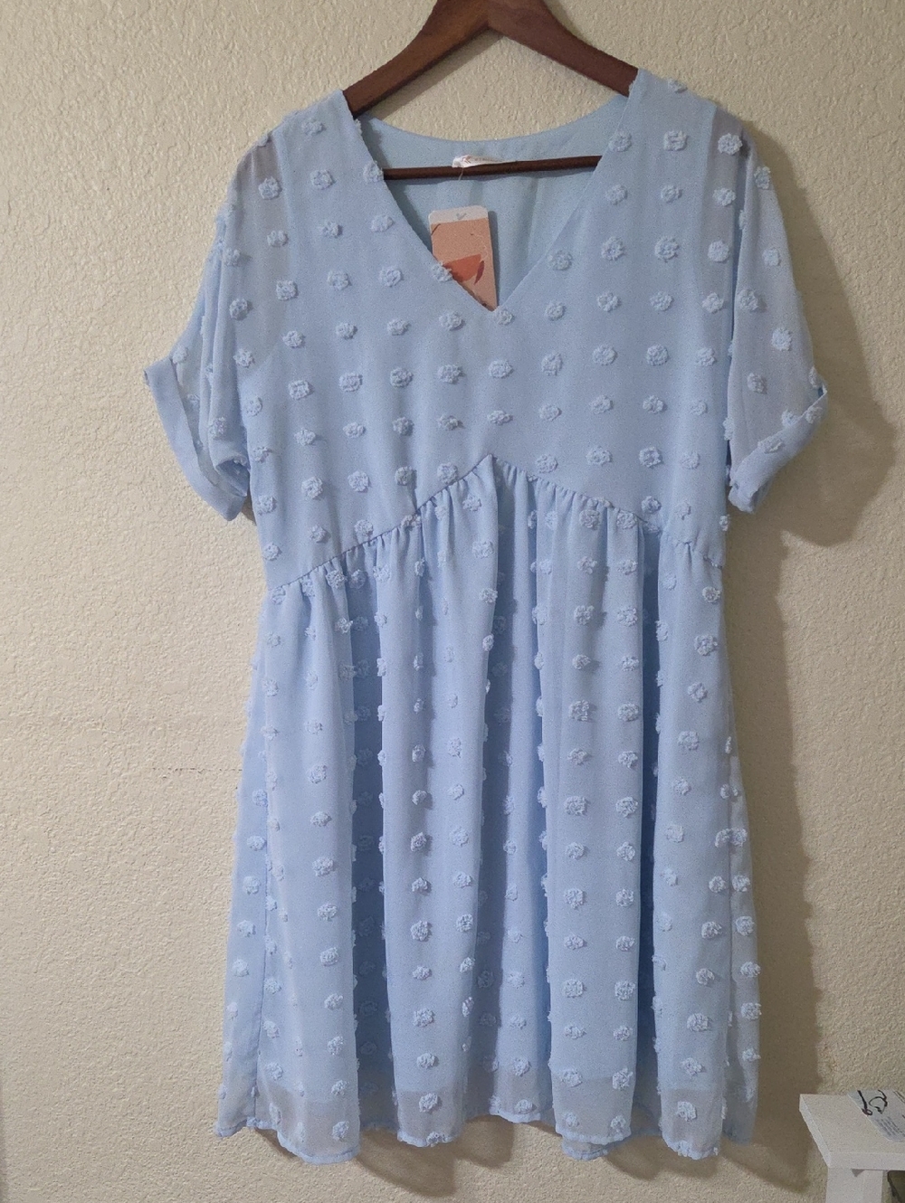 Light Blue Textured Swiss Dot V-Neck Women's Dress